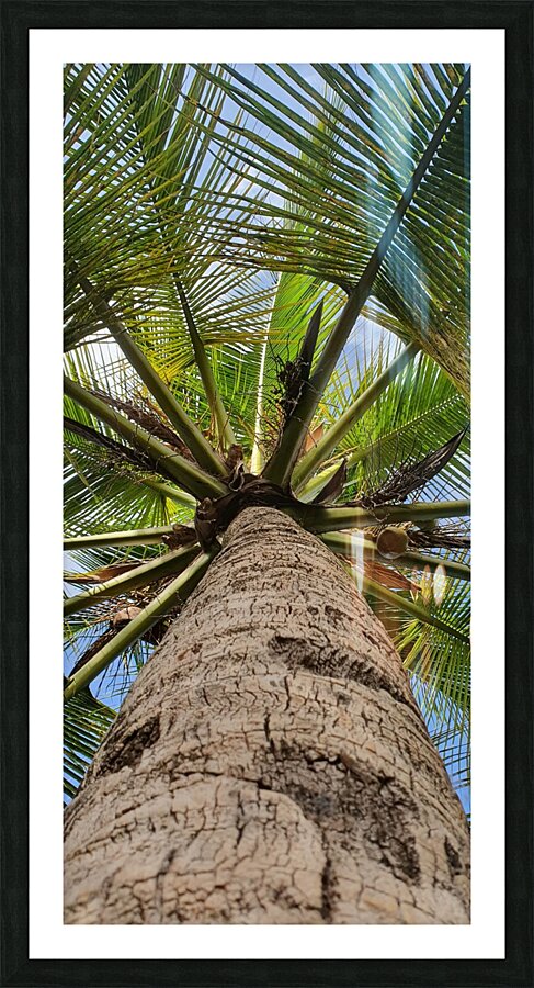 straight Picture Frame print