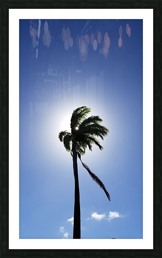 sun visor Picture Frame print