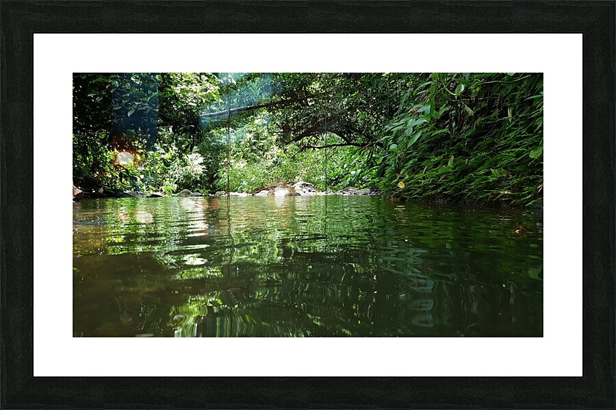 somewhere in the forest Picture Frame print