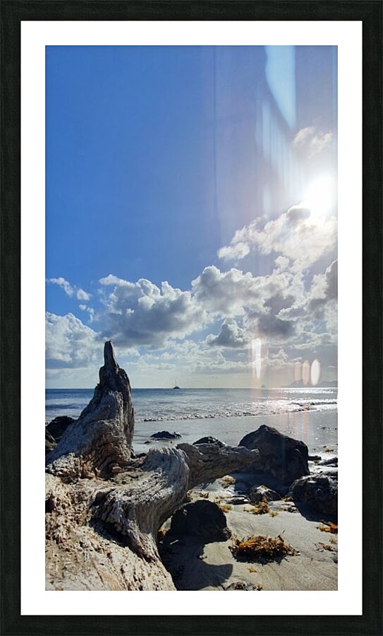 stranded after a long cruise Picture Frame print