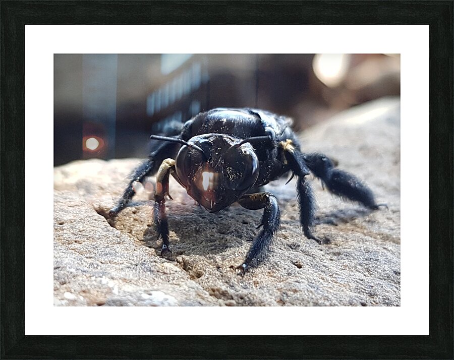 small but strong Picture Frame print