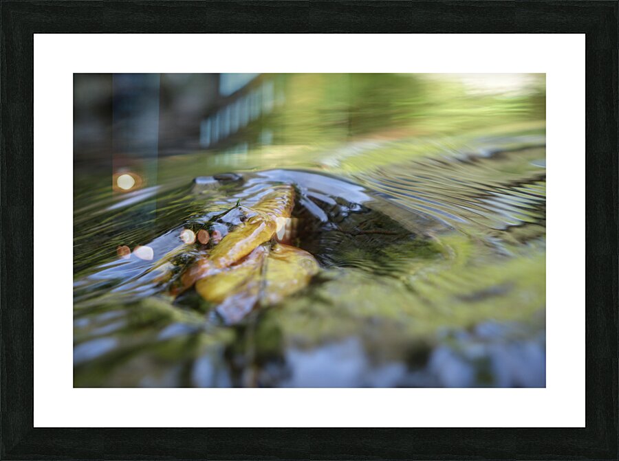 swirl Picture Frame print