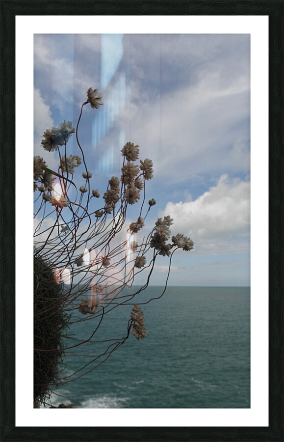 suspended Picture Frame print