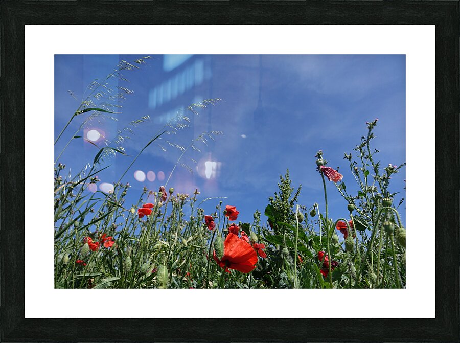 sunburn Picture Frame print