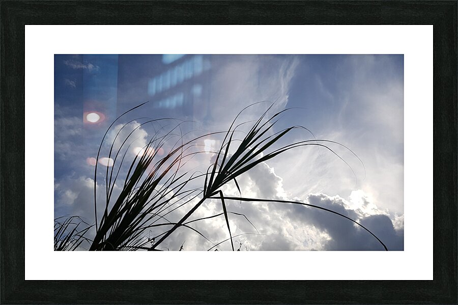 with the wind Picture Frame print