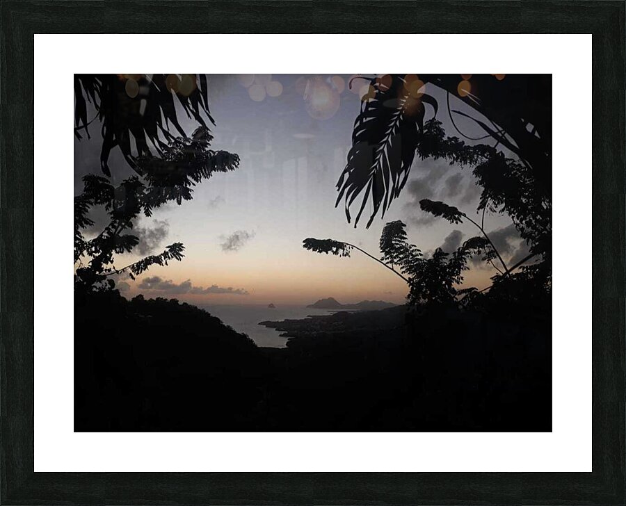 tropical dusk Picture Frame print