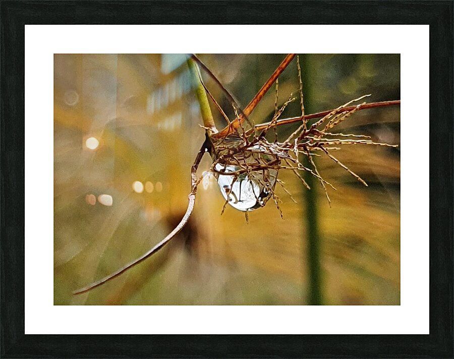 Vegetable sweat Picture Frame print