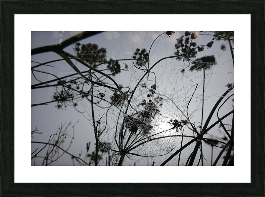 tangle Picture Frame print