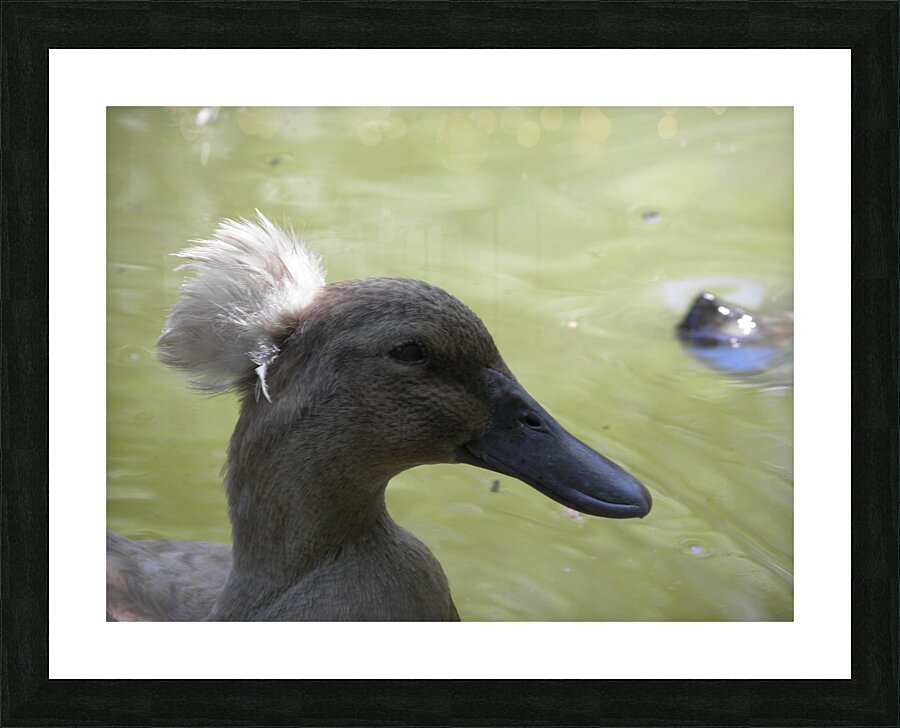 punk Picture Frame print