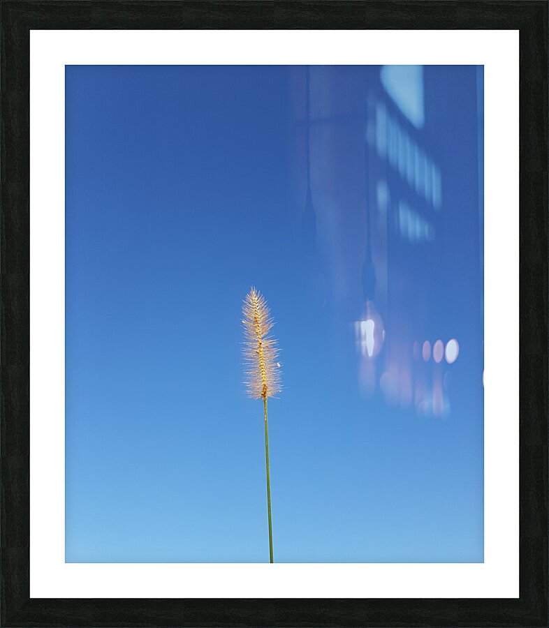 natural flare Picture Frame print