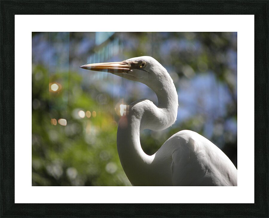 twisted Picture Frame print