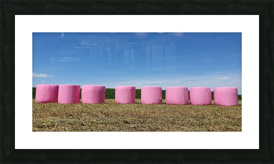 giant marshmallows Picture Frame print