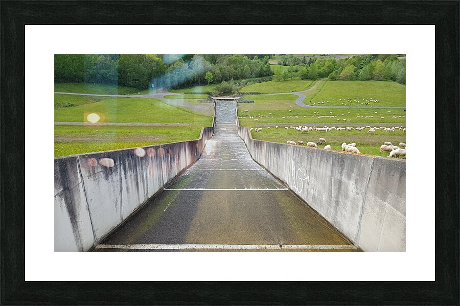 the border Picture Frame print