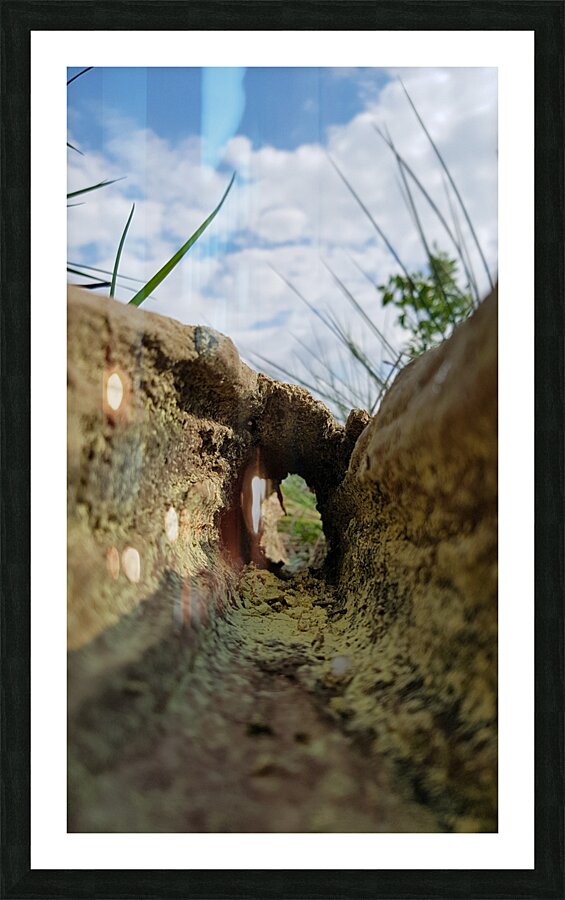 towards the unknown Picture Frame print