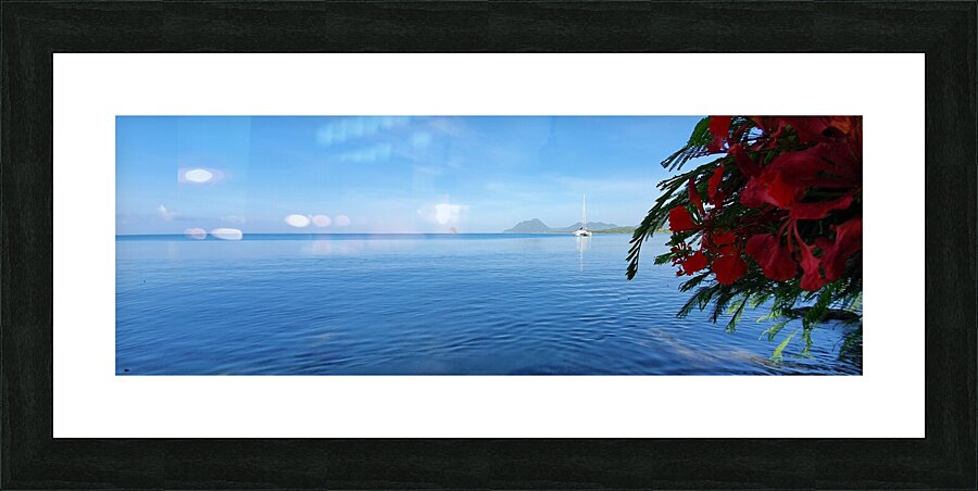 marine bouquet Picture Frame print
