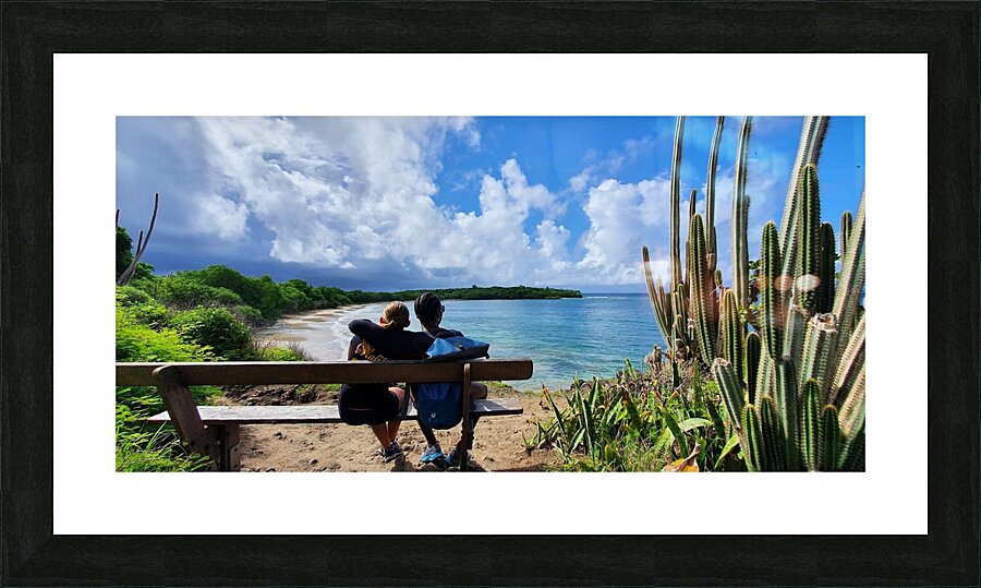 enjoy the view Picture Frame print