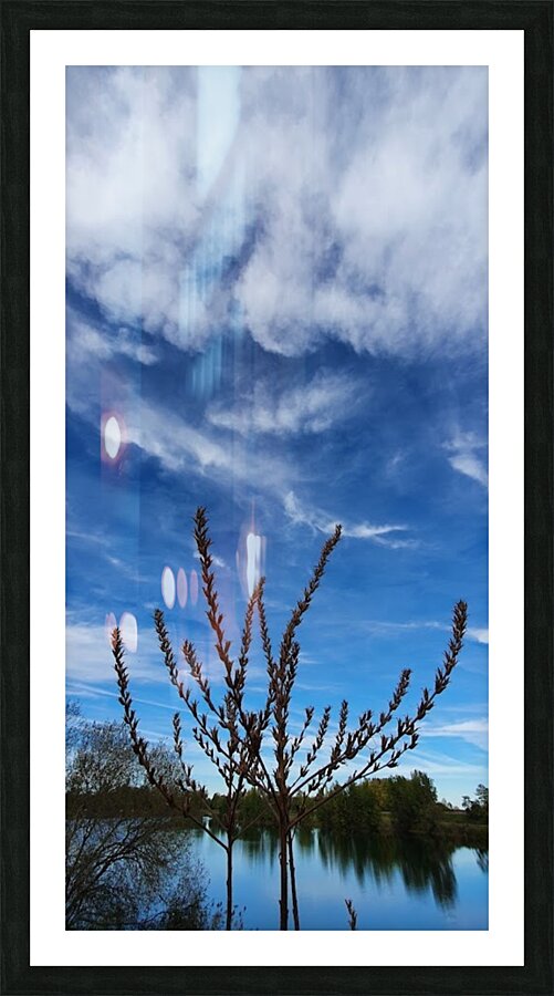 cobs in the clouds Picture Frame print