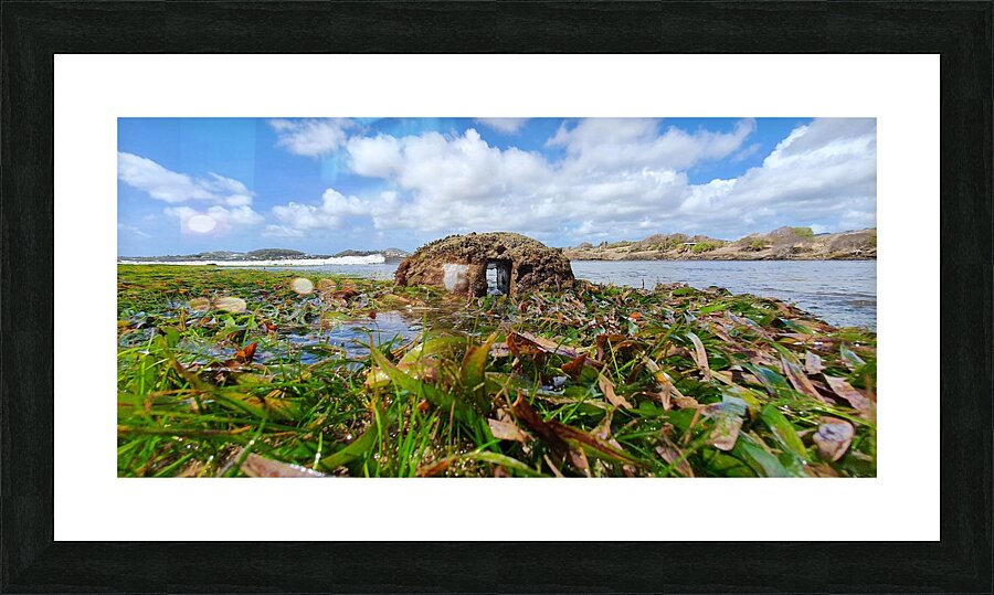 low tide Picture Frame print