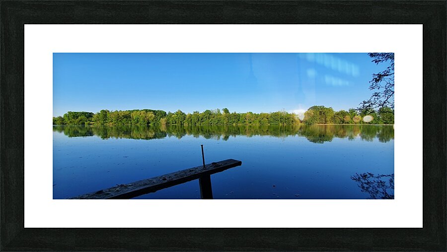 planted there Picture Frame print