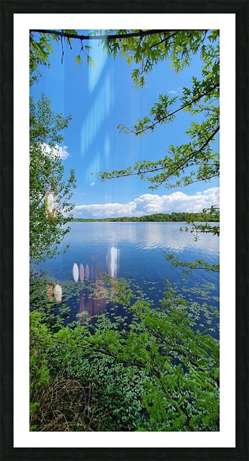 summer day Picture Frame print