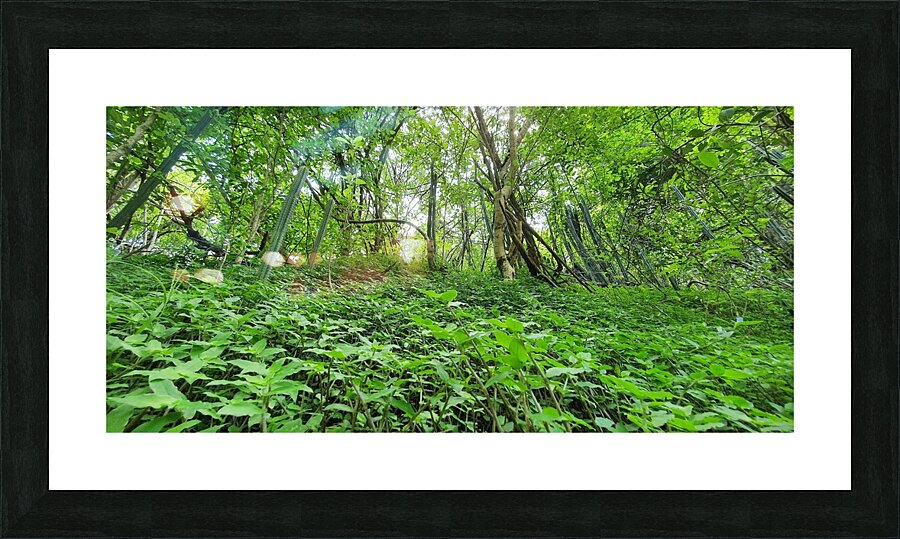 natural carpet Picture Frame print