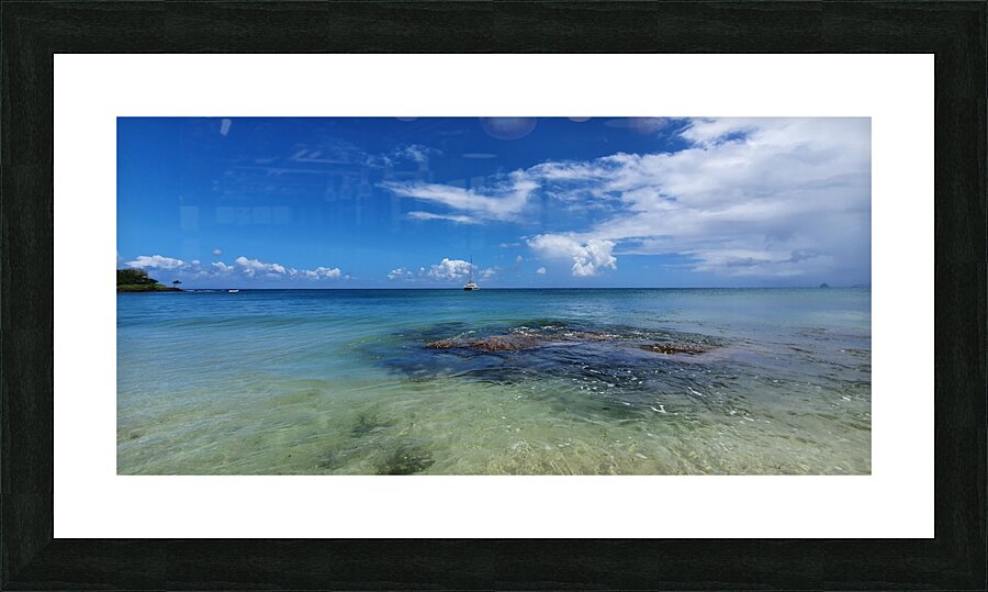 land in sight Picture Frame print