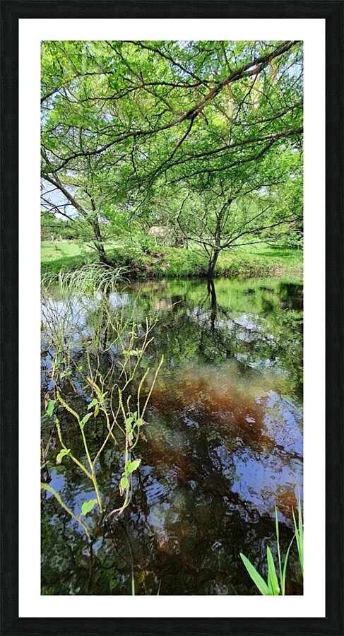 scents Picture Frame print