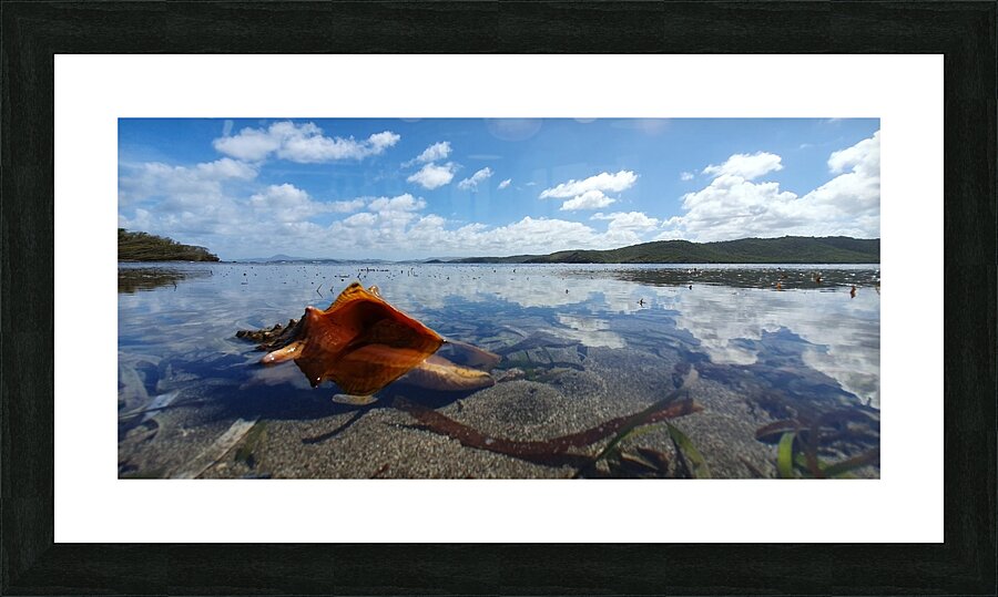 submarine Picture Frame print