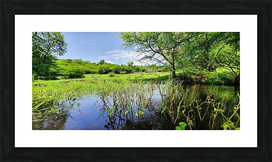 tranquility Picture Frame print