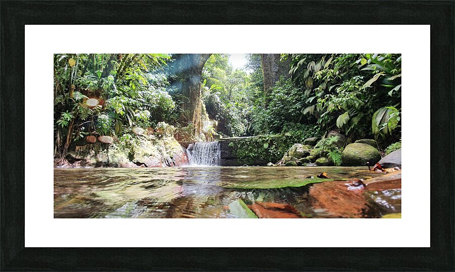 and the leaves fall Picture Frame print