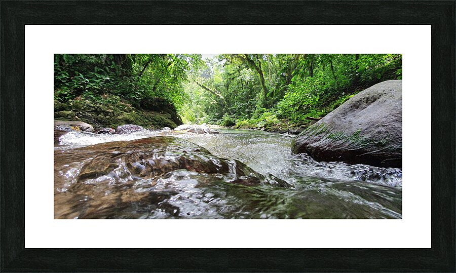go down the river Picture Frame print