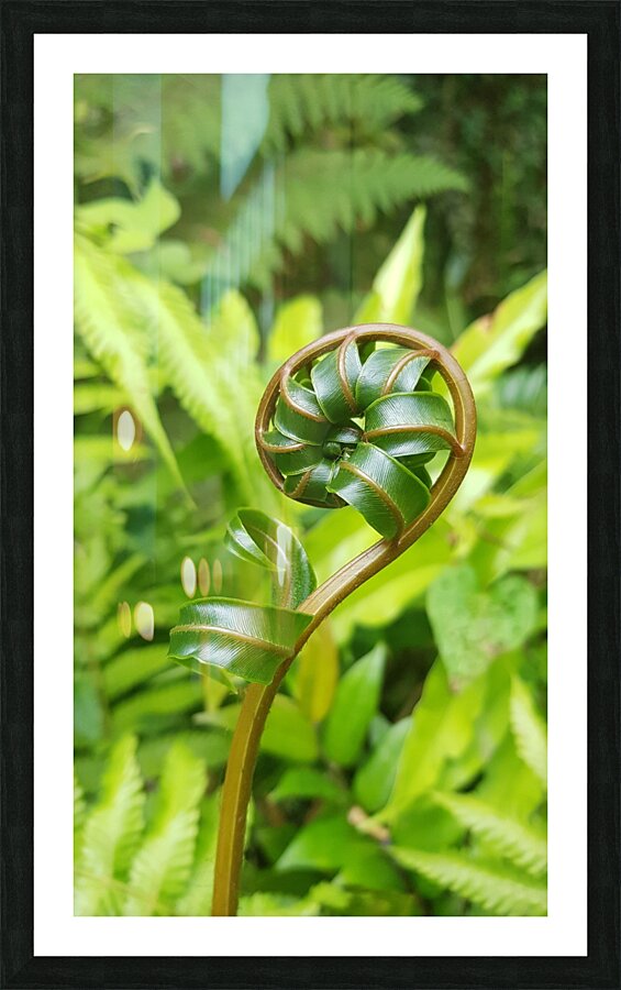 natural jewelry Picture Frame print