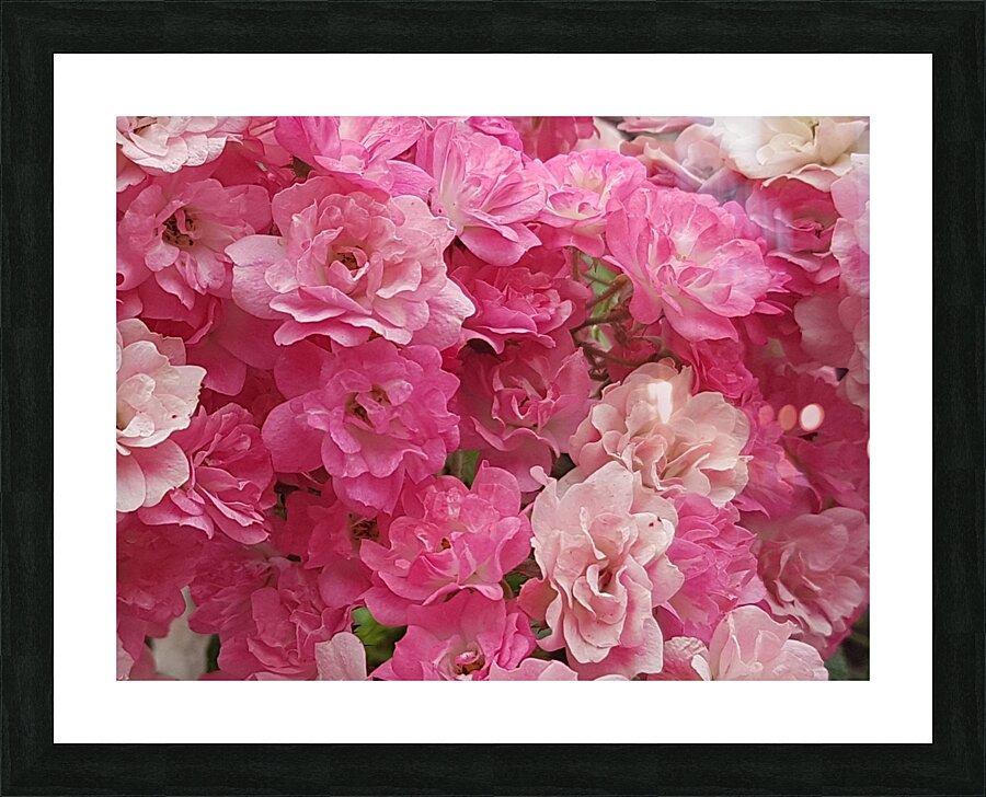 pink gradient Picture Frame print