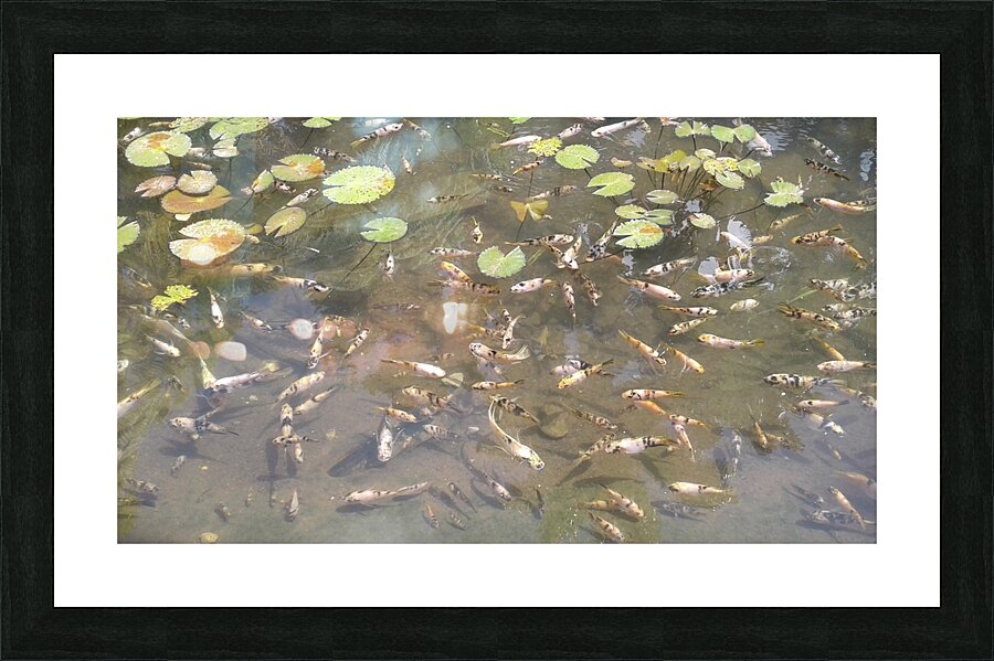 orderly disorder Picture Frame print