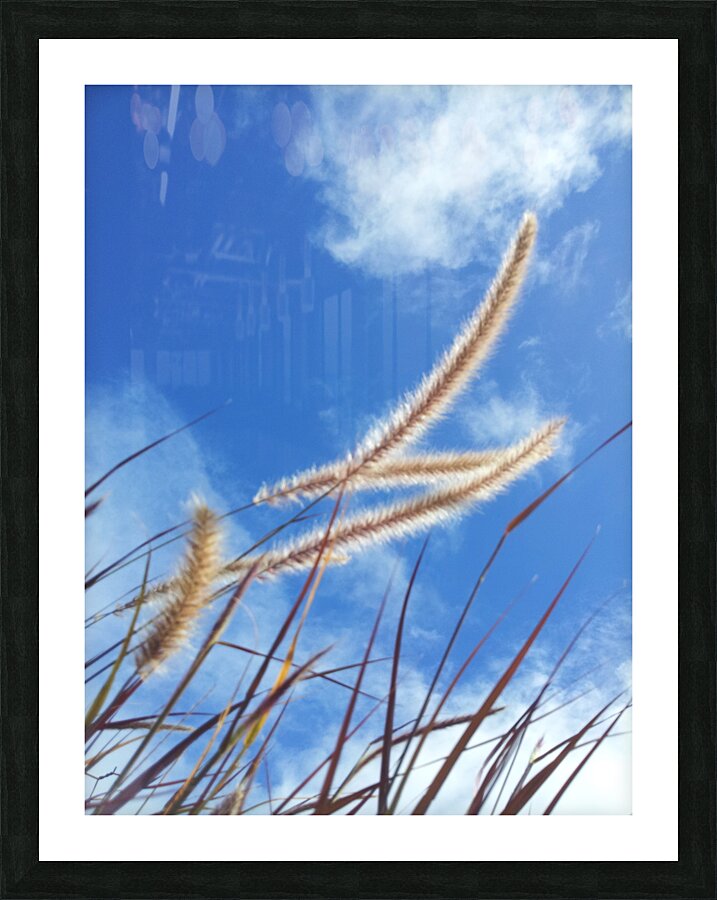 luminous cobs Impression et Cadre photo