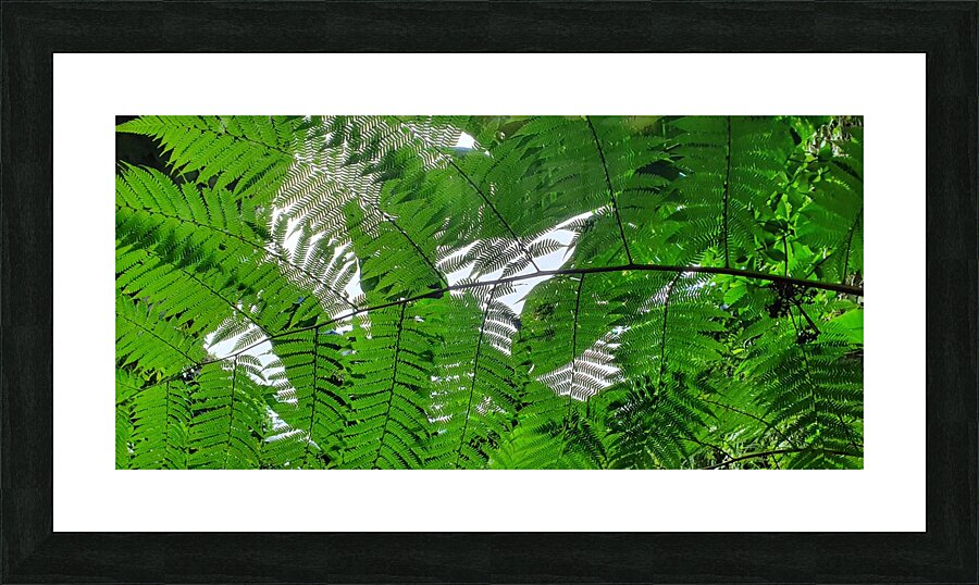 plant fence Picture Frame print