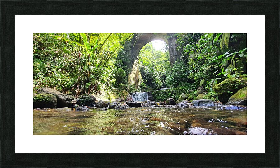 under the bridge Picture Frame print