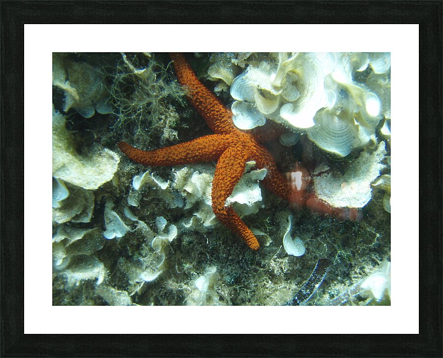 hug Picture Frame print