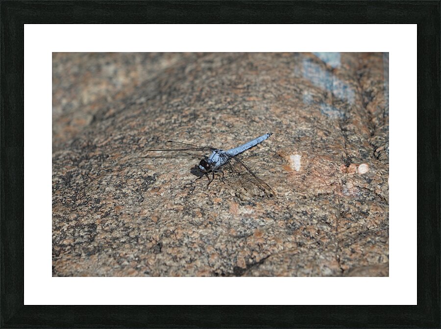 just before my takeoff Picture Frame print