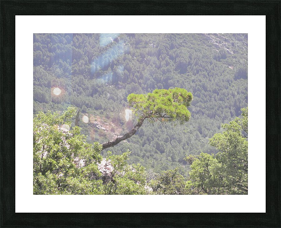 in the void Picture Frame print