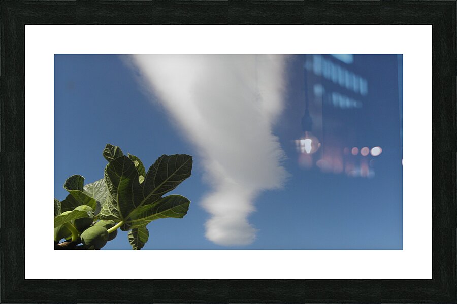 improbable encounter Impression et Cadre photo