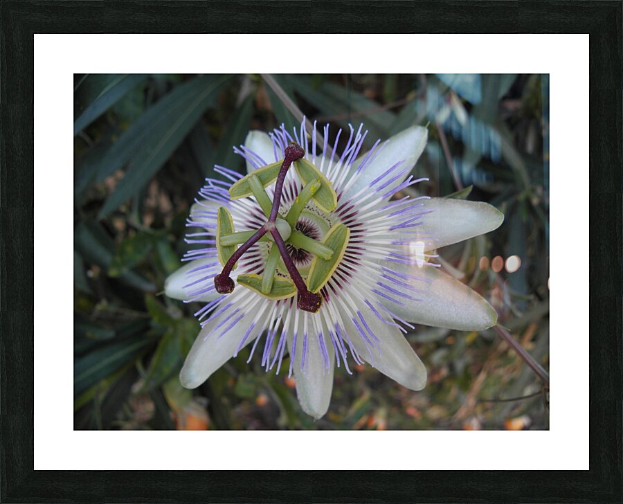 masterpiece Picture Frame print