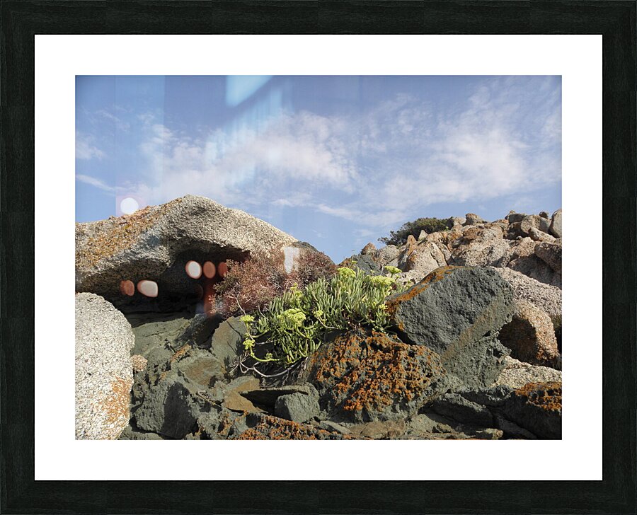 live alone Picture Frame print