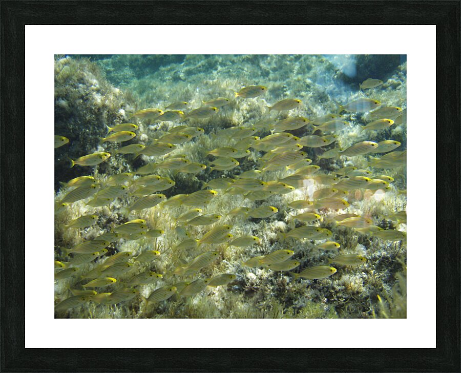 migration Picture Frame print