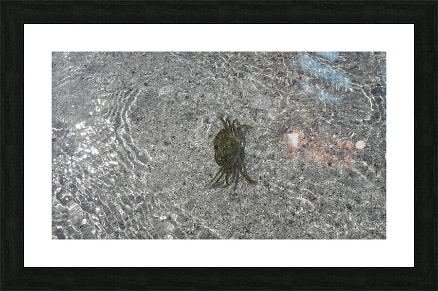 looking for a shelter Picture Frame print
