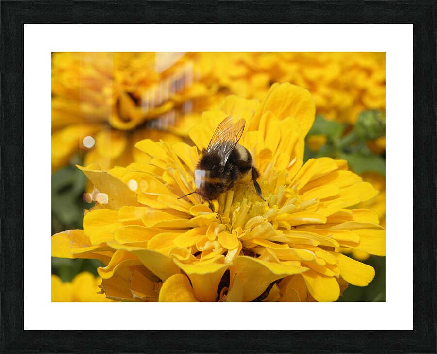 nostrils full Picture Frame print