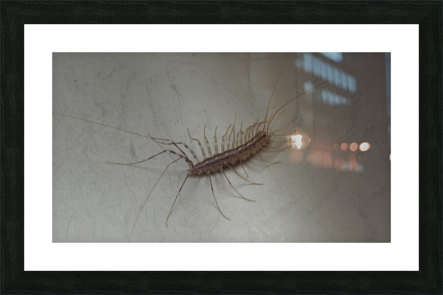 small but scary Picture Frame print
