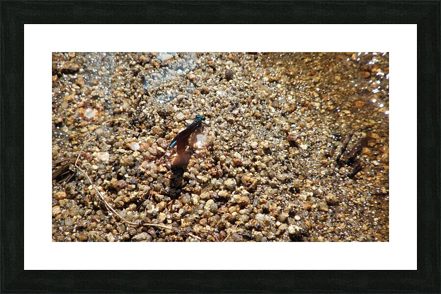 sunbathe by the water Picture Frame print