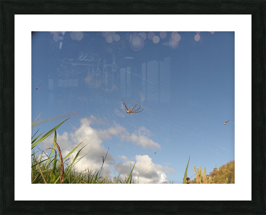 suspended Picture Frame print