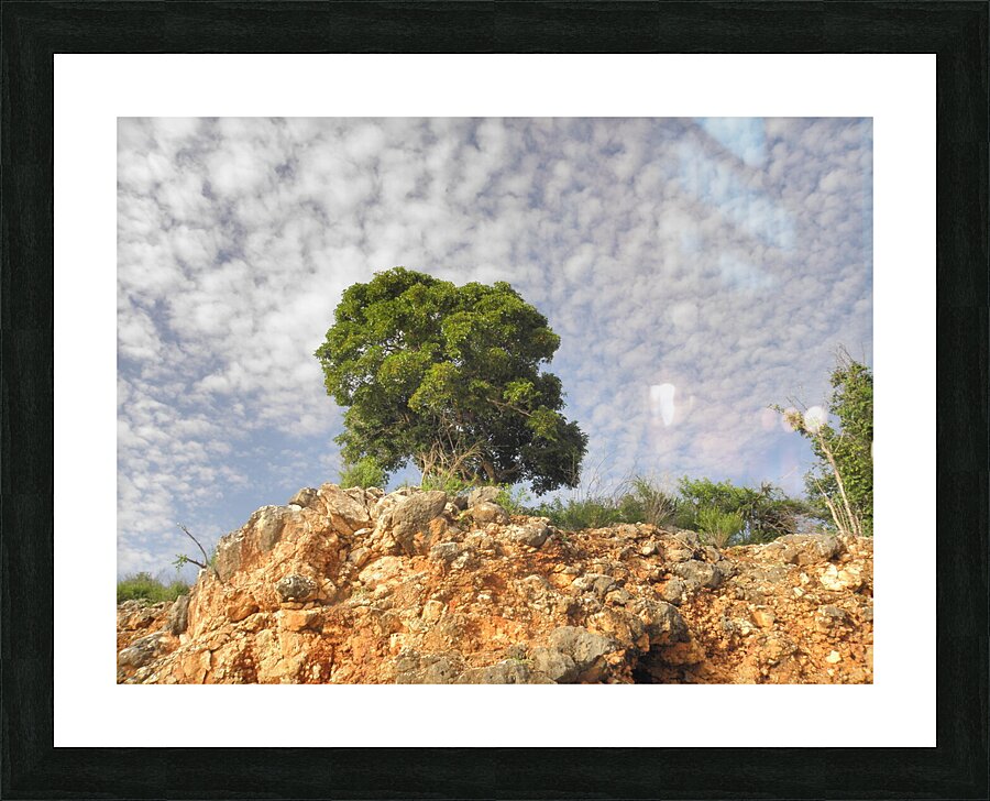 the last Picture Frame print